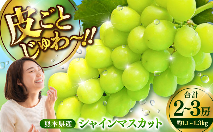 【限定数量】【2025年8月下旬発送開始】シャインマスカット 約1.1kgから1.3kg 合計2から3房 / しゃいんますかっと 新鮮 種なし フルーツ 果物 ギフト 熊本県 菊陽町 【りとる農房】 [BHBO001]