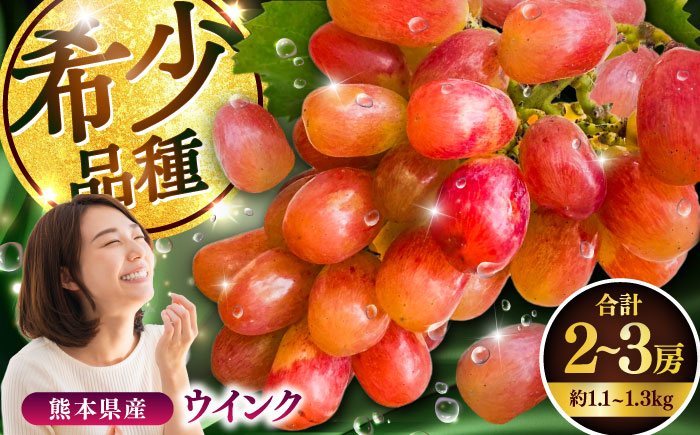 【限定数量】【10月下旬発送開始】ウインク 約1.1kg～1.3kg 合計2～3房 ぶどう【りとる農房】 [BHBO004]
