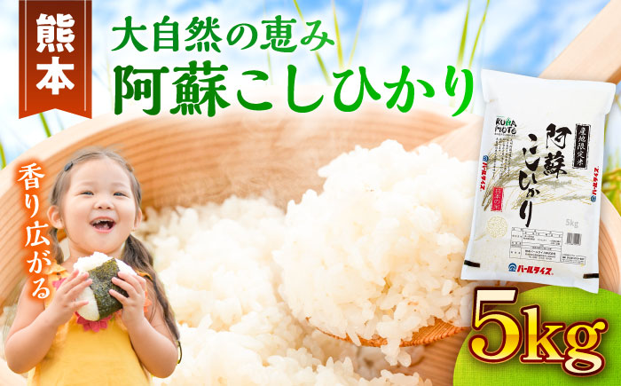 【令和7年産】熊本県産 阿蘇コシヒカリ 5kg 米【熊本パールライス株式会社】 [BHBP001]
