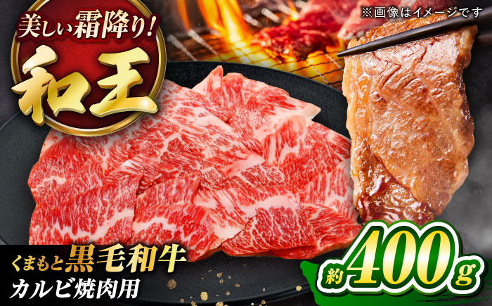 くまもと黒毛和牛 「和王」 カルビ焼肉用 約400g (約400g×1パック) / 牛肉 和王 肉 カルビ かるび 希少部位 熊本県 菊陽町【菊池地域農業協同組合】 [BHBQ002]