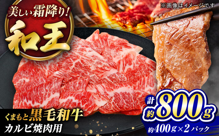 くまもと黒毛和牛 ｢和王｣ カルビ焼肉用 計約800g (約400g×2パック) / 牛肉 和王 黒毛和牛 肉 カルビ かるび 希少部位 熊本県 菊陽町【菊池地域農業協同組合】 [BHBQ011]