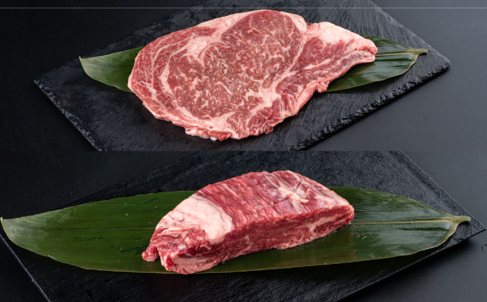 熊本県産  あか牛 ステーキ用ヒレ肉(約600g)、ロース肉(約800g) 計約1.4kg / 牛肉 国産 セット 食べ比べ【合同会社 たべたせいか】 [BHBY003]