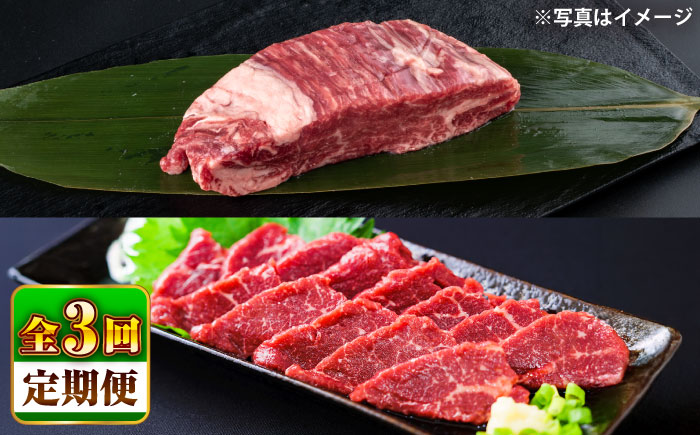 【全3回定期便】 あか牛 ステーキ用ヒレ肉(約800g)、馬刺し(約200g)セット 計約1kg / 牛肉 馬肉 食べ比べ　【合同会社 たべたせいか】 [BHBY017]