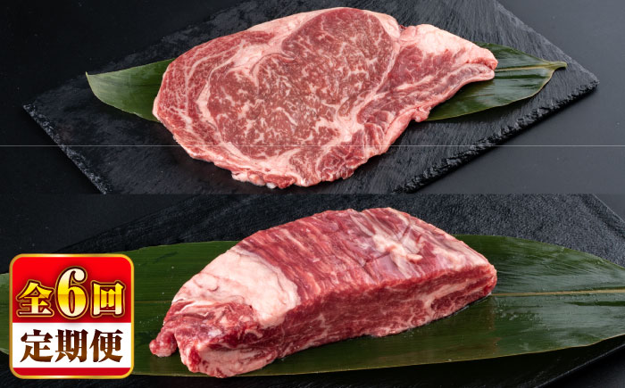 【全6回定期便】熊本県産 あか牛 ステーキ用ヒレ肉(約600g)、ロース肉(約800g) 計約1.4kg / 牛肉 国産 セット 食べ比べ【合同会社 たべたせいか】 [BHBY030]