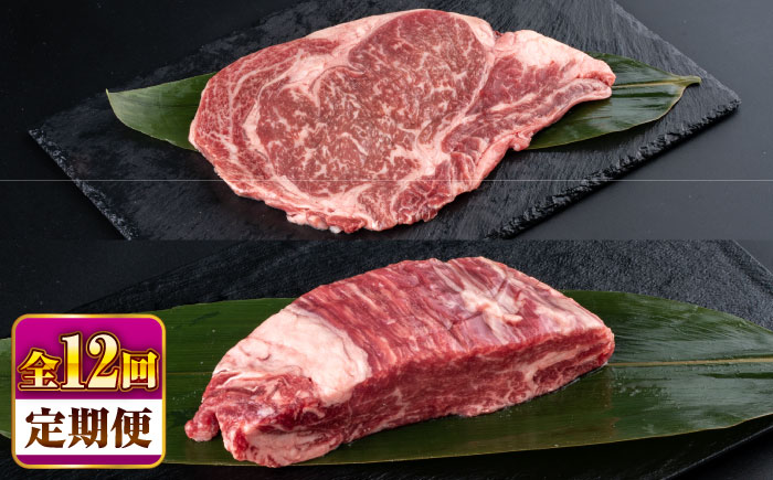 【全12回定期便】熊本県産 あか牛 ステーキ用ヒレ肉(約600g)、ロース肉(約800g) 計約1.4kg / 牛肉 国産 セット 食べ比べ【合同会社 たべたせいか】 [BHBY031]