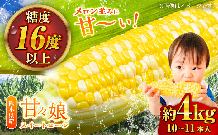 【先行予約】【2026年6月上旬より順次発送】スイートコーン(甘々娘) 約4kg（10～11本） とうもろこし【なかむら農園】 [BHCJ001]