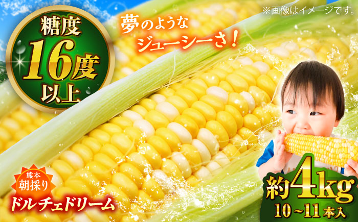 【先行予約】【2026年5月下旬より順次発送】スイートコーン(ドルチェドリーム)約4kg とうもろこし【なかむら農園】 [BHCJ002]