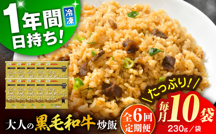 【全6回定期便】熊本県産 こだわり炒飯 大人の黒毛和牛 計2.3kg (230g×10)【ユーユーフーズ株式会社】 [BHCS020]