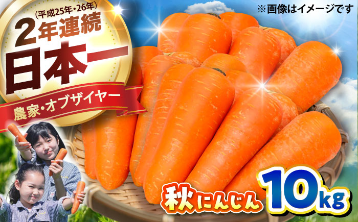 秋にんじん10kg / ニンジン 野菜 β-カロテン 食物繊維 抗酸化作用 栄養満点 熊本県産 菊陽町　【株式会社 まゆみ農園】 [BHCW006]