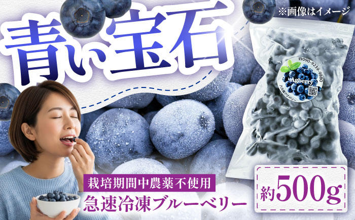 青い宝石 国産 急速冷凍ブルーベリー 約500g 果物 くだもの フルーツ ぶるーべりー 熊本県 菊陽町【アグファーム株式会社】 [BHCX004]