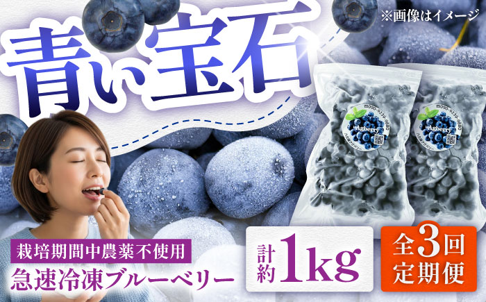 【全3回定期便】青い宝石 国産 急速冷凍ブルーベリー 計約1kg（約500g×2袋） 果物 くだもの フルーツ ぶるーべりー 熊本県 菊陽町【アグファーム株式会社】 [BHCX011]