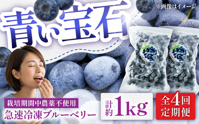 【全4回定期便】青い宝石 国産 急速冷凍ブルーベリー 計約1kg（約500g×2袋） 果物 くだもの フルーツ ぶるーべりー 熊本県 菊陽町【アグファーム株式会社】 [BHCX012]