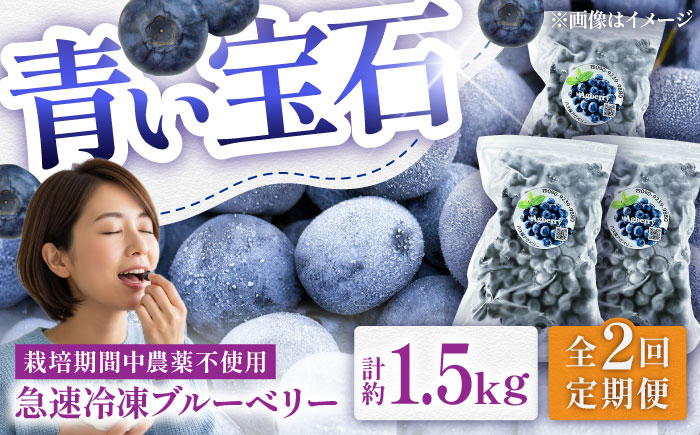 【全2回定期便】青い宝石 国産 急速冷凍ブルーベリー 計約1.5kg（約500g×3袋） 果物 くだもの フルーツ ぶるーべりー 熊本県 菊陽町【アグファーム株式会社】 [BHCX013]