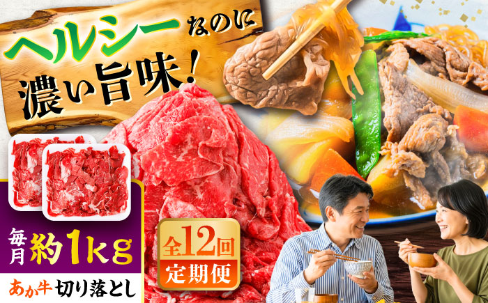 【全12回定期便】あか牛 切り落とし 約1kg (約500g×2P) / 熊本 赤牛 褐牛 あかうし 褐毛和種 肥後 冷凍 国産 牛肉 和牛 切り落とし こま切れ【五右衛門フーズ】 [BHCY008]