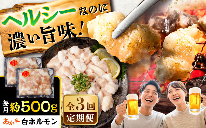【全3回定期便】あか牛 白 ホルモン 約500g (約250g×2P) / 牛肉 褐毛和種 ホルモン 肉 九州産 国産牛 熊本県産 小分け あかうし 鍋 焼肉【五右衛門フーズ】 [BHCY010]
