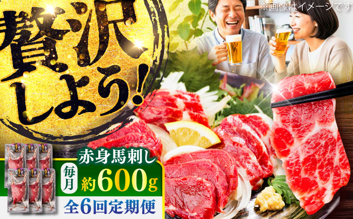 【全6回定期便】赤身 馬刺し 約600g(約100g×6パック) / 小分け 熊本 馬刺 赤身 馬刺し 冷凍 馬肉 ヘルシー 真空 パック おつまみ 熊本県 菊陽町【五右衛門フーズ】 [BHCY023]