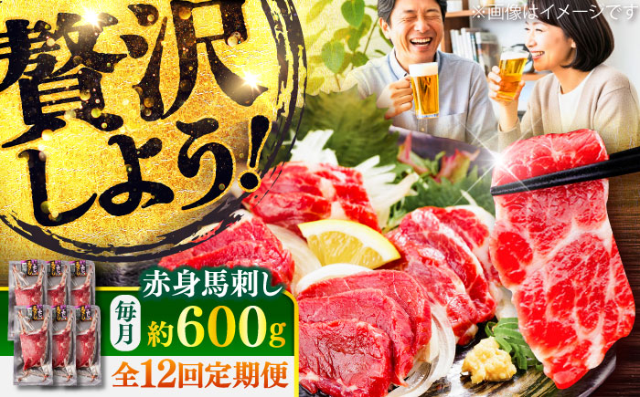 【全12回定期便】赤身 馬刺し 約600g(約100g×6パック) / 小分け 熊本 馬刺 赤身 馬刺し 冷凍 馬肉 ヘルシー 真空 パック おつまみ 熊本県 菊陽町【五右衛門フーズ】 [BHCY024]