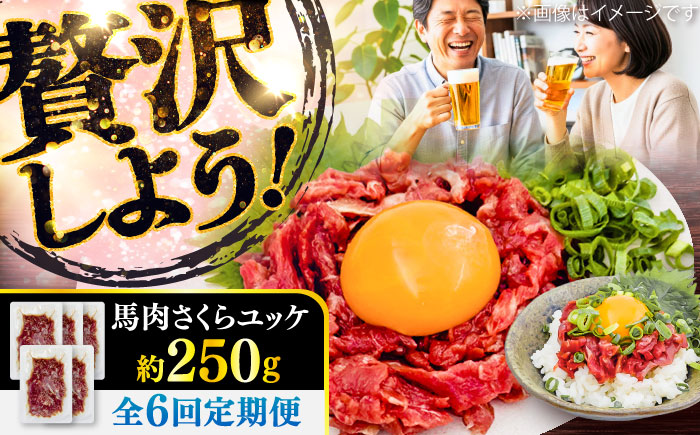 【全6回定期便】馬肉さくらユッケ 約250g(約50g×5パック) / 馬肉 ユッケ 馬刺しユッケ 小分け 生食用 熊本肥育 桜ユッケ 馬刺し 熊本県 おつまみ 晩酌 菊陽町【五右衛門フーズ】 [BHCY031]