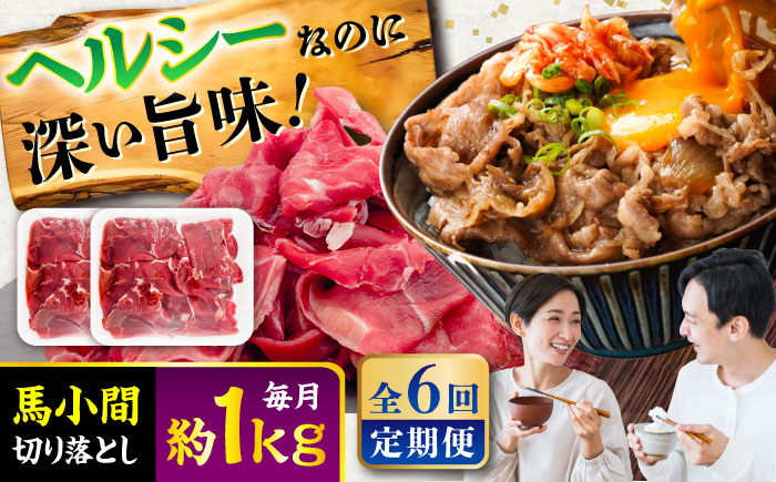 【全6回定期便】馬小間切り落とし 約1kg (約500g × 2パック) / 馬肉 こま切れ きりおとし 切落とし 馬小間 熊本 馬肉 切り落とし ヘルシー【五右衛門フーズ】 [BHCY039]