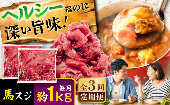 【全3回定期便】馬スジ 約1kg (約500g×2パック) / 馬肉 スジ 馬すじ 煮込み 煮物 カレー お肉 スジ肉 スジ すじ肉 料理用 馬 肉 熊本 すじ【五右衛門フーズ】 [BHCY042]