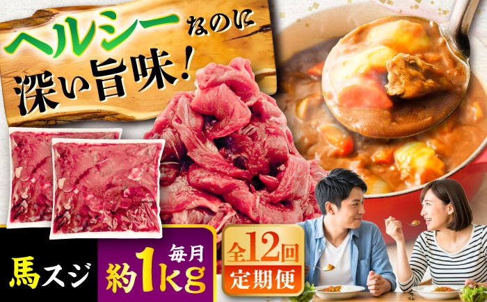 【全12回定期便】馬スジ 約1kg (約500g×2パック) / 馬肉 スジ 馬すじ 煮込み 煮物 カレー お肉 スジ肉 スジ すじ肉 料理用 馬 肉 熊本 すじ【五右衛門フーズ】 [BHCY044]