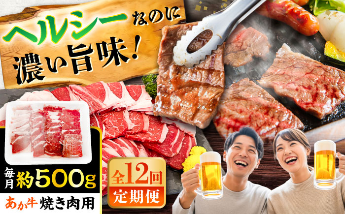 【全12回定期便】熊本あか牛 焼肉用カット(バラ ロース) 約500g / 熊本県 あか牛 あかうし 和牛 焼肉 ロース バラ 牛肉 お肉 褐毛和種 冷凍 国産【五右衛門フーズ】 [BHCY048]