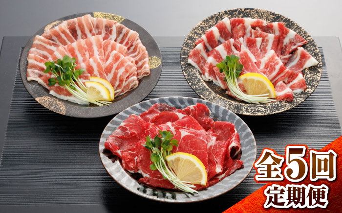 【全5回定期便】新感覚!極薄スライス「花びら馬刺し」3種盛り300g(専用醤油付き) / 馬刺し 菊陽町 熊本県 醤油 専用 ばさし 馬肉 肉 niku 【有限会社 桜屋】 [BHDB006]