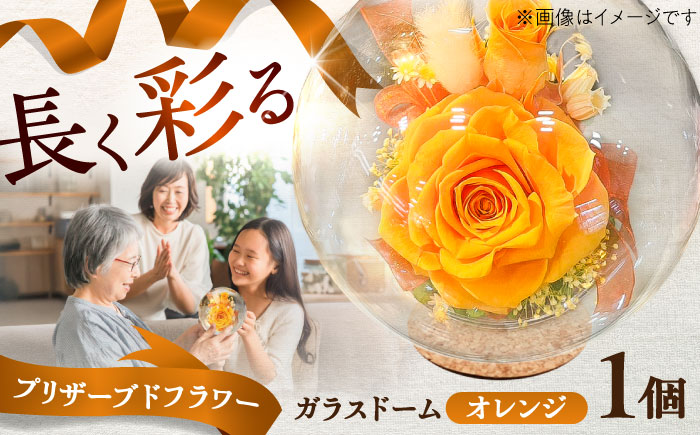 プリザーブドフラワー　ガラスドーム (オレンジ) / 花 プレゼント 贈答用 ガラス 母の日 父の日 入学式 卒業式 菊陽町 熊本県【株式会社 美向】 [BHDC001]