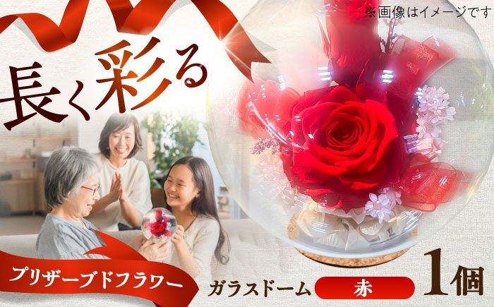 プリザーブドフラワー　ガラスドーム (赤) / 花 プレゼント 贈答用 ガラス 母の日 父の日 入学式 卒業式 菊陽町 熊本県【株式会社 美向】 [BHDC004]