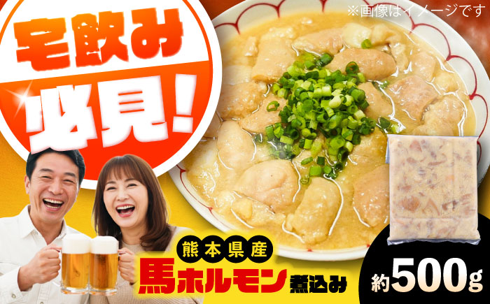 純国産馬 馬ホルモン煮込み 約500g / 馬肉 ホルモン 煮込み 熊本県 菊陽町【株式会社古閑ファーム】 [BHDF019]