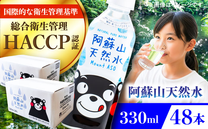 阿蘇山天然水 330ml 計48本(24本×2ケース) 天然水 水 ミネラルウォーター 備蓄 熊本 菊陽町【丸富産業株式会社】 [BHDG004]