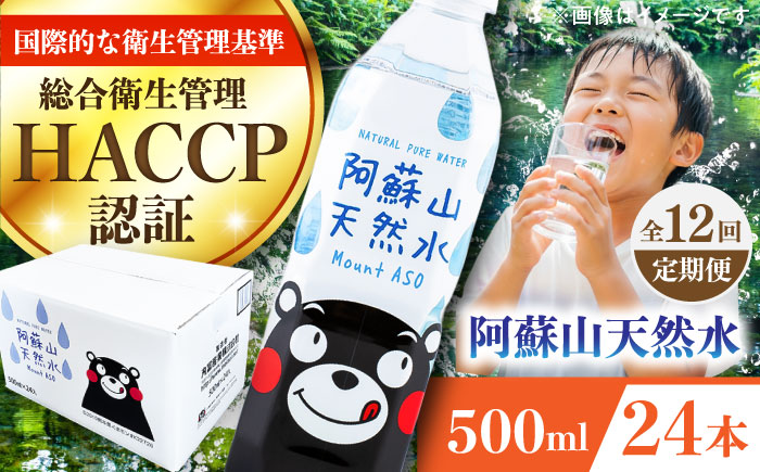【全12回定期便】阿蘇山天然水 500ml 24本×1ケース 天然水 水 ミネラルウォーター 備蓄 熊本 菊陽町【丸富産業株式会社】 [BHDG010]