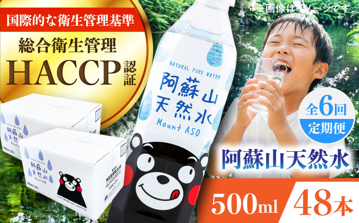 【全6回定期便】阿蘇山天然水 500ml 計48本(24本×2ケース) 天然水 水 ミネラルウォーター 備蓄 熊本 菊陽町【丸富産業株式会社】 [BHDG017]