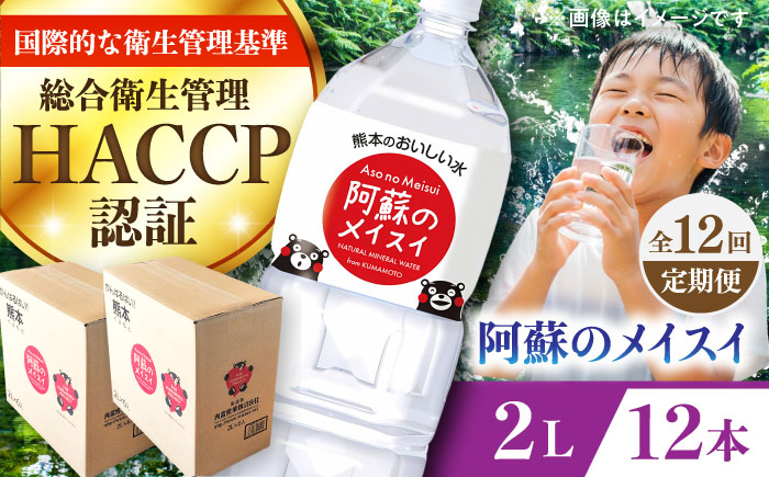 【全12回定期便】 阿蘇のメイスイ 2L 計12本(6本×2ケース) 天然水 水 ミネラルウォーター 備蓄 熊本 菊陽町【丸富産業株式会社】 [BHDG030]