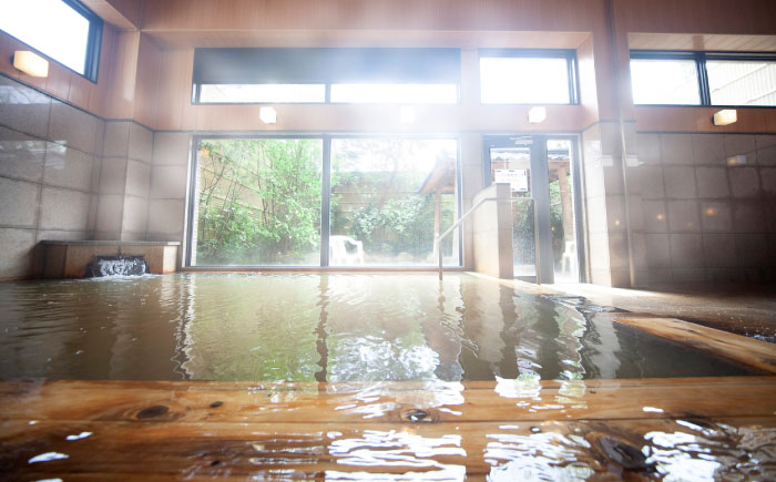 温泉入浴券 大谷の湯 日帰り温泉 入浴券 12枚 体験チケット[社会福祉法人青生会] [BHCM002]