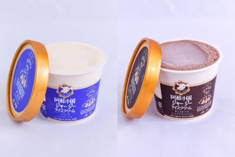 【小国郷特産ジャージー牛乳を使用！】アイスクリームセット(大2個・小8個入り)  阿蘇 小国郷特産 ジャージー牛乳 アイスクリーム セット 10個 480ml 130ml バニラ 抹茶 チョコ ミルク  氷菓 アイス 詰め合わせ ギフト 贈答用 お取り寄せ JA阿蘇 熊本 南小国町 送料無料