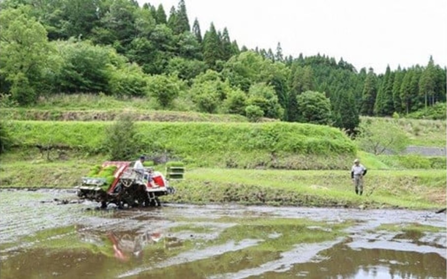 令和７年産・新米 南小国町産のお米あきげしき ２kg 南小国産 精米 玄米 米 白米 お米 ご飯 産地直送 SMO南小国 熊本 阿蘇 南小国町 送料無料