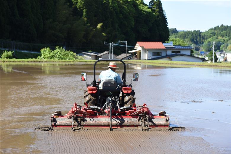 【予約受付】令和8年産・新米 瑠璃米 4kg 予約 新米 令和8年産 南小国産 米 白米 精米 2kg 2袋 お米 ご飯 産地直送 髙村農園 熊本 阿蘇 南小国町 送料無料