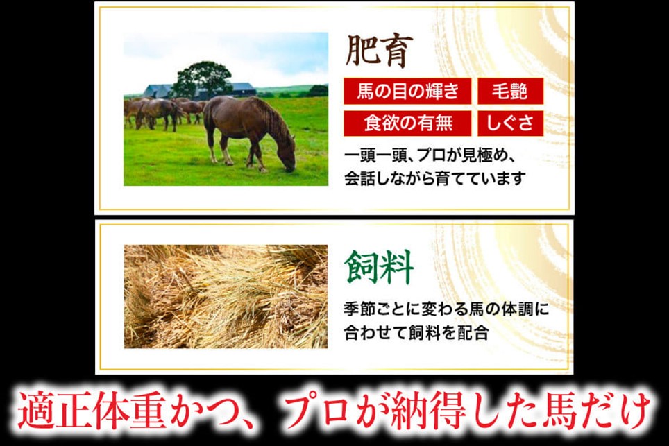 〈令和8年3月出荷〉肥後の桜馬刺し 上赤身 300g 馬肉 馬 国産 国内肥育 希少 肉刺し 真空パック 醬油付き 本場 老舗専門店 ギフト 贈答用 阿蘇牧場 熊本 阿蘇 南小国町 送料無料 高レビュー 《 出荷月指定 》
