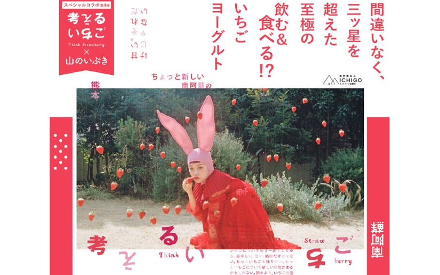 黒川温泉発 山吹色のジャージーヨーグルト "いちご" セット【FOODEX JAPAN 2017 最高金賞受賞】2種 150ml 12本 飲むヨーグルト いちごヨーグルト いちごミルク いちごみるく ジャージー牛乳 詰め合わせ 乳製品 乳飲料 腸活 免疫力アップ 乳酸菌 ご当地 グランプリ ギフト 贈答用 山のいぶき 熊本 阿蘇 南小国町 送料無料