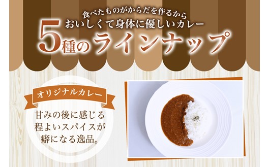 無添加で安心安全！スパイス香る本格カレー5種（200g×10食） カレー スパイス レトルト 5種 200g 10食 スパイスカレー キーマカレー レトルトカレー 無添加 セット 詰め合わせ ご当地 ギフト 贈答用 キングフーズ 熊本 阿蘇 南小国町 送料無料