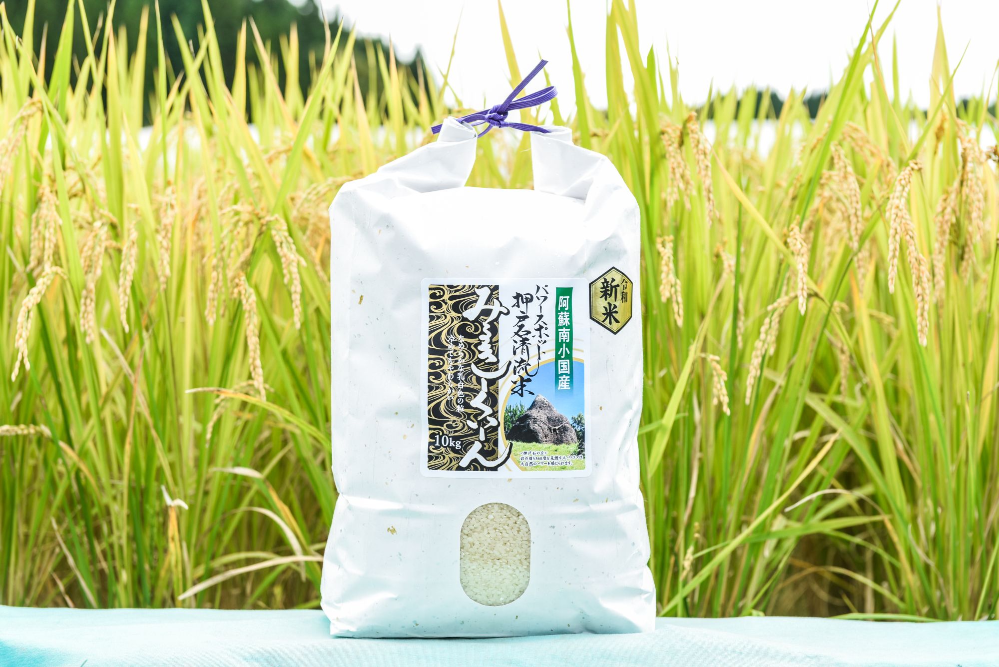 【予約受付】令和8年産・新米 ミルキークイーン 10kg 令和8年産 南小国産 新米 米 白米 玄米 玄米対応 お米 ご飯 ごはん 冷めてもおいしい ASO小国ファーム 熊本 南小国町 送料無料