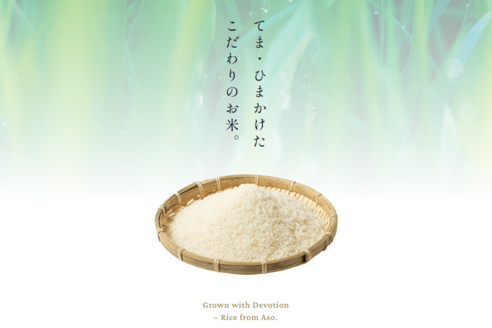 【予約受付】令和8年産・新米 ごんべえ米 10kg 予約 令和8年産 新米 白米 玄米 精米 米 お米 玄米対応可能 ご飯 ごはん 無農薬 農薬不使用 産地直送 吉原ごんべえ村 熊本 南小国 送料無料