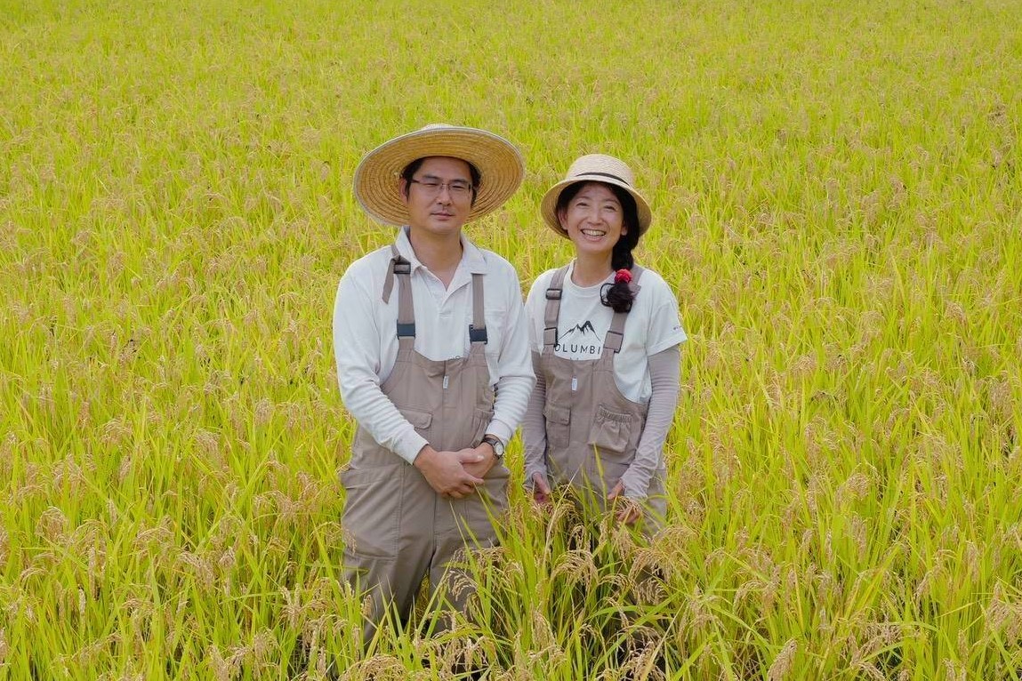 令和７年産 白川の美米 １０kg 令和7年産 南小国産 玄米 白米 3分づき 5分づき 7分づき 森のくまさん 精米 米 5kg 2袋 お米 ご飯 ごはん 無農薬 農薬不使用 自然栽培 産地直送 白川自然農園 熊本 南小国 送料無料