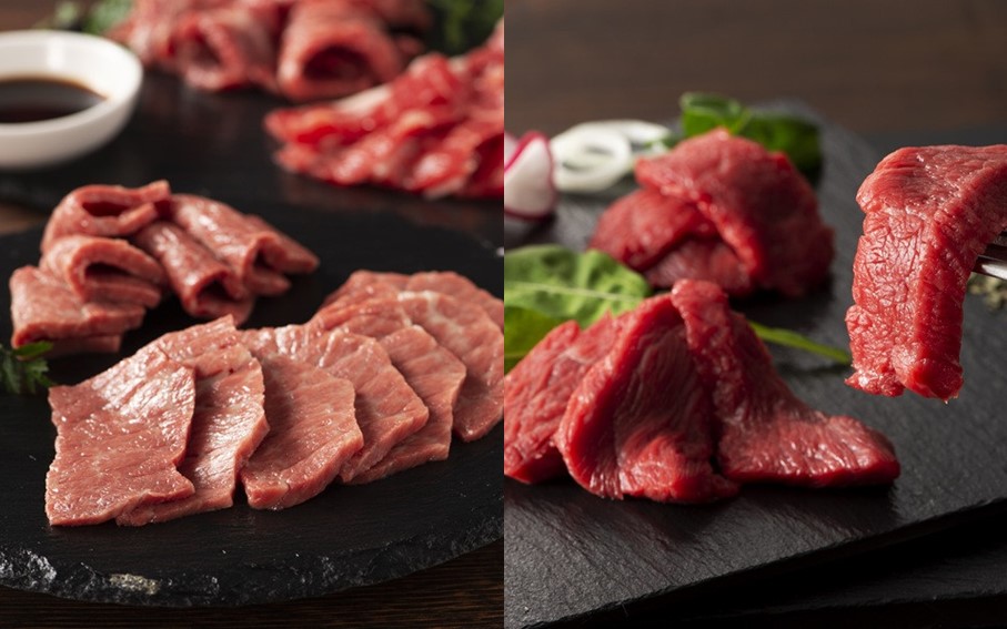 【ふじ馬刺し】 フジチクオリジナル 堪能セット 820g ふじ馬刺し メン 大トロ 中トロ ヒレ シャトーブリアン ロース ランプ 上赤身 フタエゴ バラヒモ ユッケ ネギトロ 霜降り 赤身 熊本 馬刺し セット 詰め合わせ 食べ比べ 馬肉 馬 生食用 肉刺し フジチク ギフト 贈答用 阿蘇 南小国町 送料無料