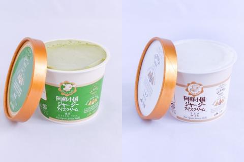 【小国郷特産ジャージー牛乳を使用！】アイスクリームセット(大2個・小8個入り)  阿蘇 小国郷特産 ジャージー牛乳 アイスクリーム セット 10個 480ml 130ml バニラ 抹茶 チョコ ミルク  氷菓 アイス 詰め合わせ ギフト 贈答用 お取り寄せ JA阿蘇 熊本 南小国町 送料無料