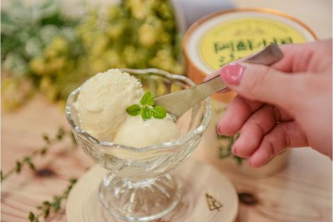 【阿蘇・小国郷特産】ジャージー牛乳アイス・パーティセット2.4L(バニラ480ml×5)  阿蘇 小国郷特産 ジャージー牛乳 アイス パーティセット 2.4L バニラ 480ml 5個 濃厚 氷菓 アイスクリーム セット 詰め合わせ ギフト 贈答用 JA阿蘇 熊本 南小国町 送料無料