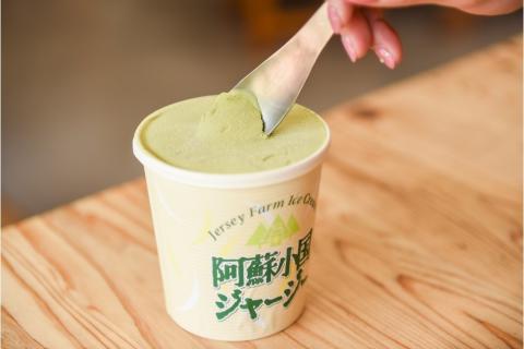 【阿蘇・小国郷特産】ジャージー牛乳アイス・パーティセット2.4L(バニラ480ml×3、抹茶480ml×2)  阿蘇 小国郷特産 ジャージー牛乳 アイス パーティセット 2.4L バニラ 3個 抹茶 2個  氷菓 アイスクリーム 濃厚 大容量 ギフト 贈答用 セット お取り寄せ JA阿蘇 熊本 南小国町 送料無料