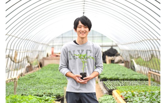 万能調味料！完熟とまとみそ 3個セット 完熟とまとみそ 70g 3個 セット 万能調味料 トマト みそ 味噌 万能ソース 井野納菜園 熊本 阿蘇 南小国町 送料無料