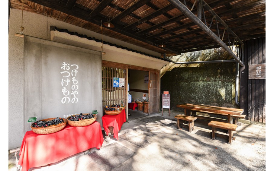 【黒川温泉発】阿蘇の浅漬け ～高菜セット～  浅漬け バラエティ セット 6種 大根 胡瓜 きゅうり 茄子 ナス 長芋 人参 阿蘇高菜 高菜漬け 高菜 漬物 高菜漬物 お取り寄せ ギフト 贈答用 黒川温泉 平野商店 九州 熊本 阿蘇 南小国町 送料無料